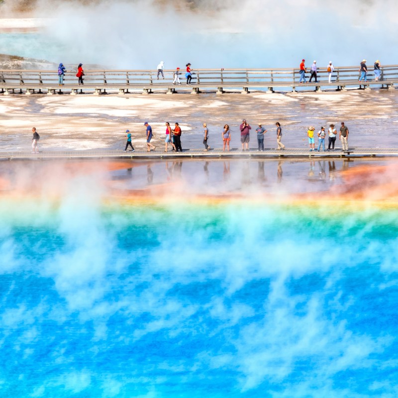 Crowds at Yellowstone National Park.