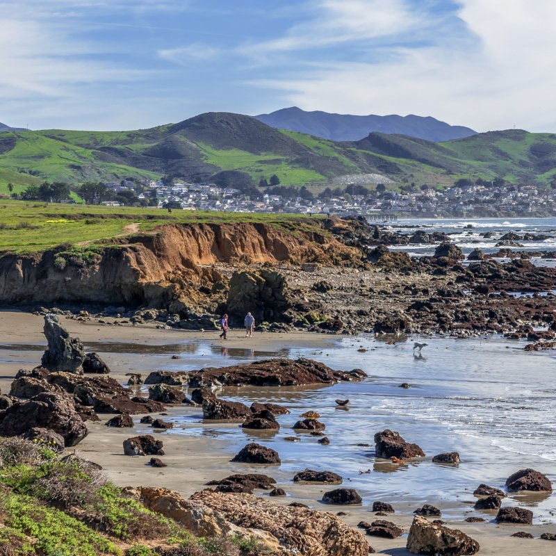 Estero Bay near Cayucos, California.