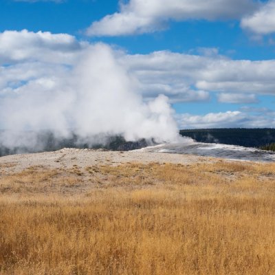 Fall colors at Old Faithful geyser in Yellowstone National Park.