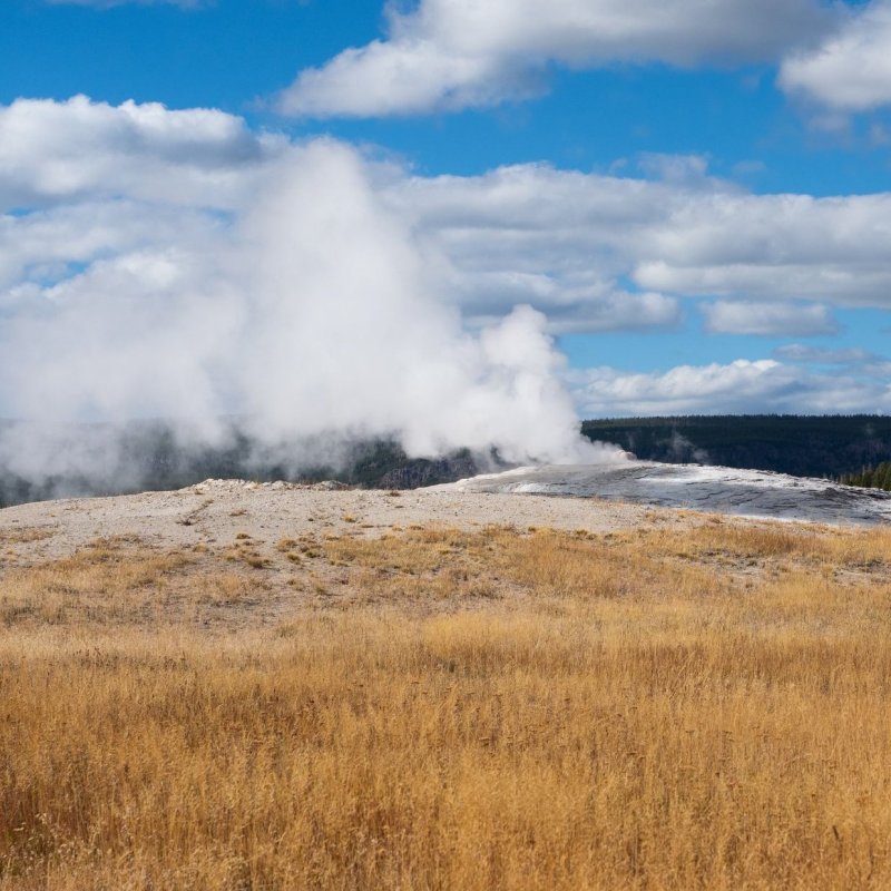 Fall colors at Old Faithful geyser in Yellowstone National Park.