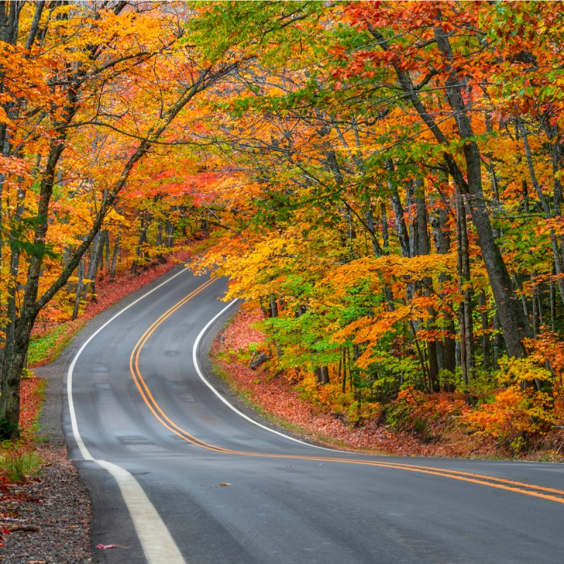 Fall foliage along the Tunnel Of Trees in Michigan.