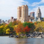 Fall foliage at Central Park in New York City.