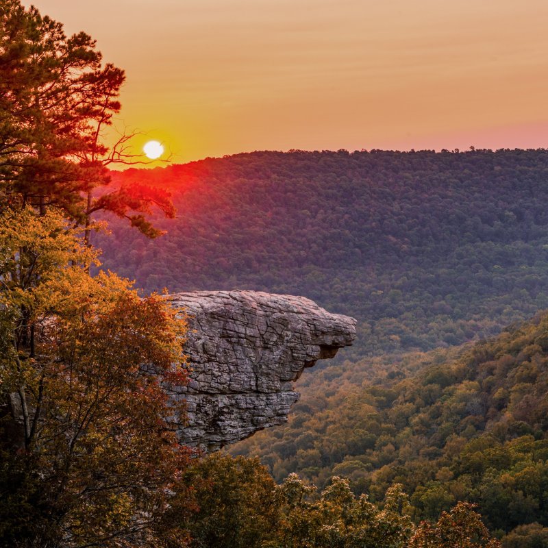 Fall foliage at Hawksbill Crag in the Ozarks.