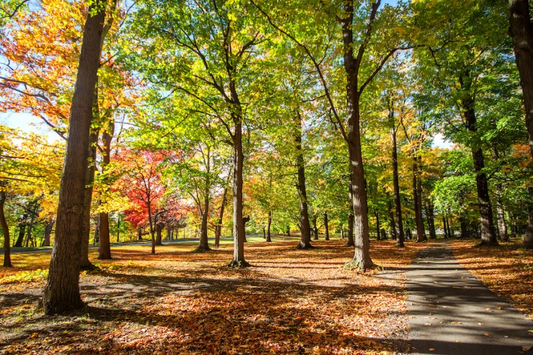 The Most Scenic Fall Foliage Road Trip In New York TravelAwaits