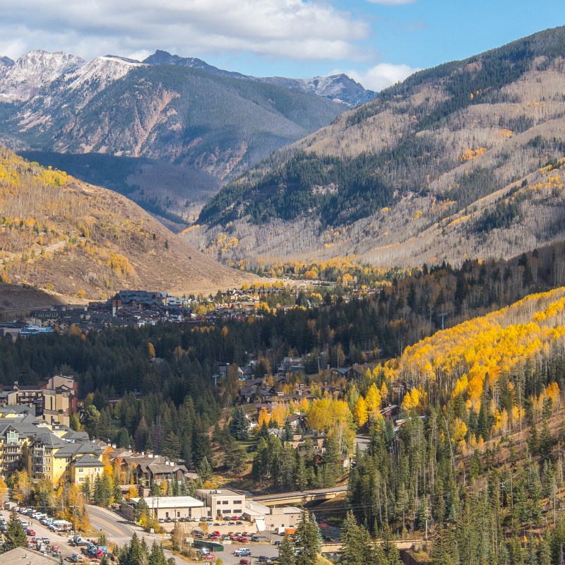 Fall foliage in Vail, Colorado.