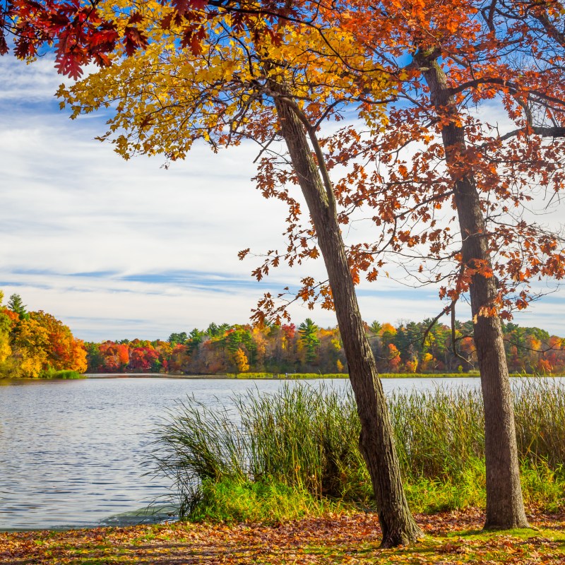 Fall foliage in Wisconsin.