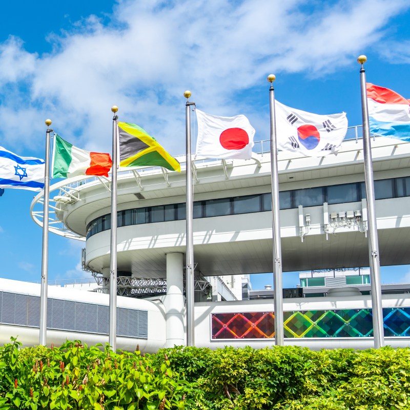 Flags outside of Miami International Airport.