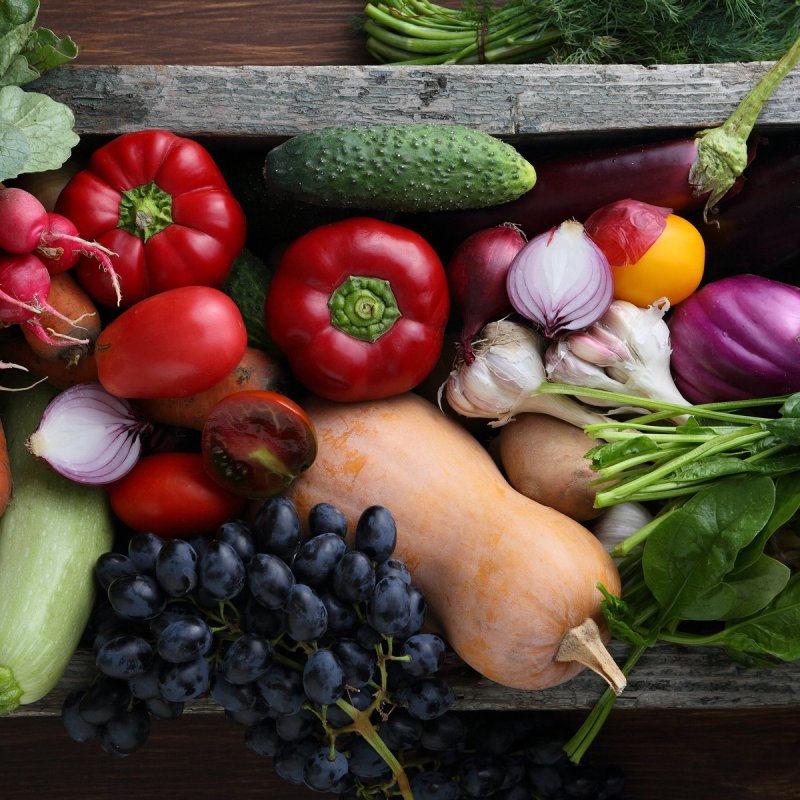 Freshly picked vegetables from a Farm