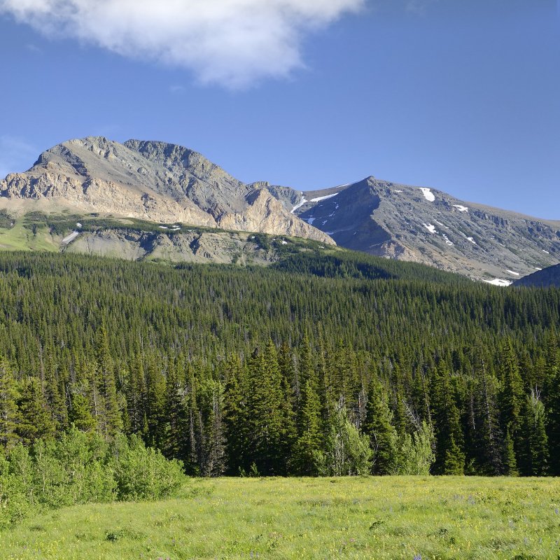 Glacier National Park views near Cut Bank, Montana.