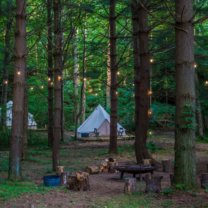Glamping in the woods.