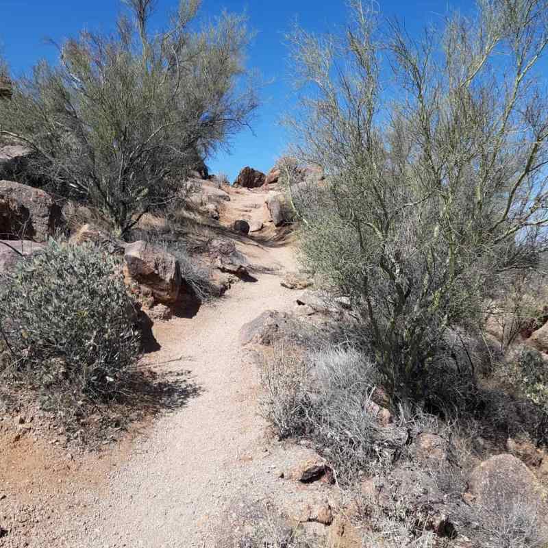 Hiking in Usery Mountain Regional Park.