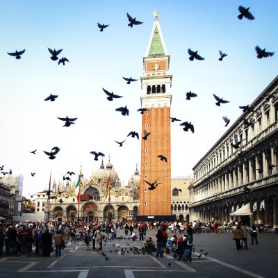 It is illegal to feed the pigeons at St. Mark's Square in Venice, Italy.