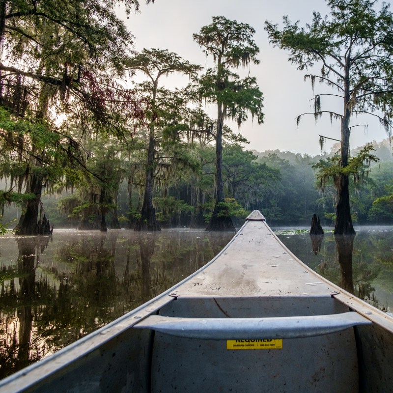 Kayaking the Caddo Lake Bayou in Jefferson, Texas.