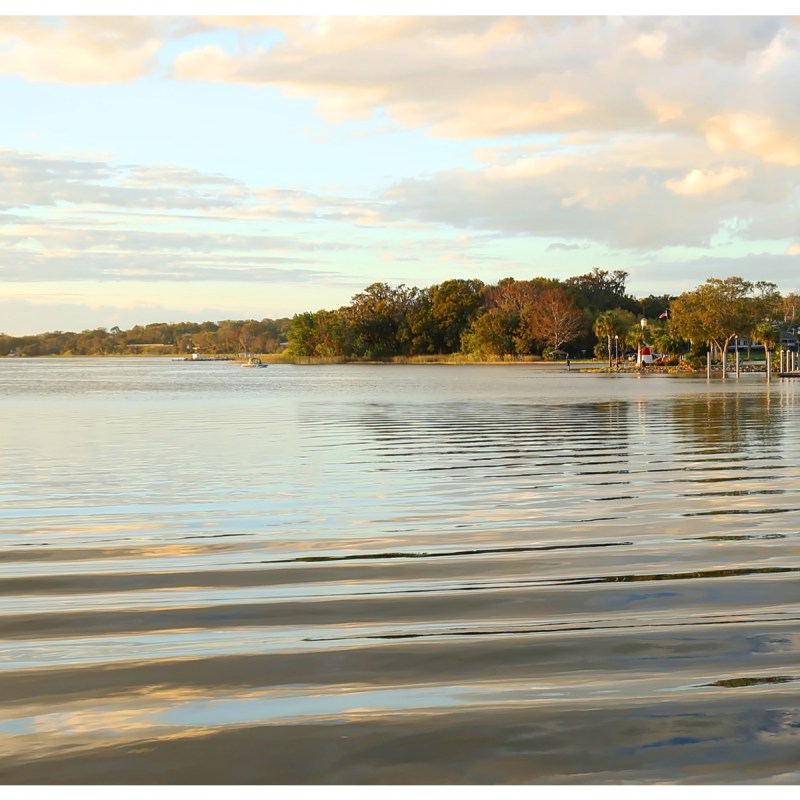 Lake Dora via Premier Boat Tours.