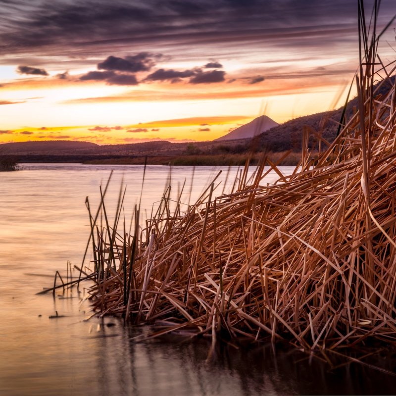 Lake Patagonia in Arizona at sunset.