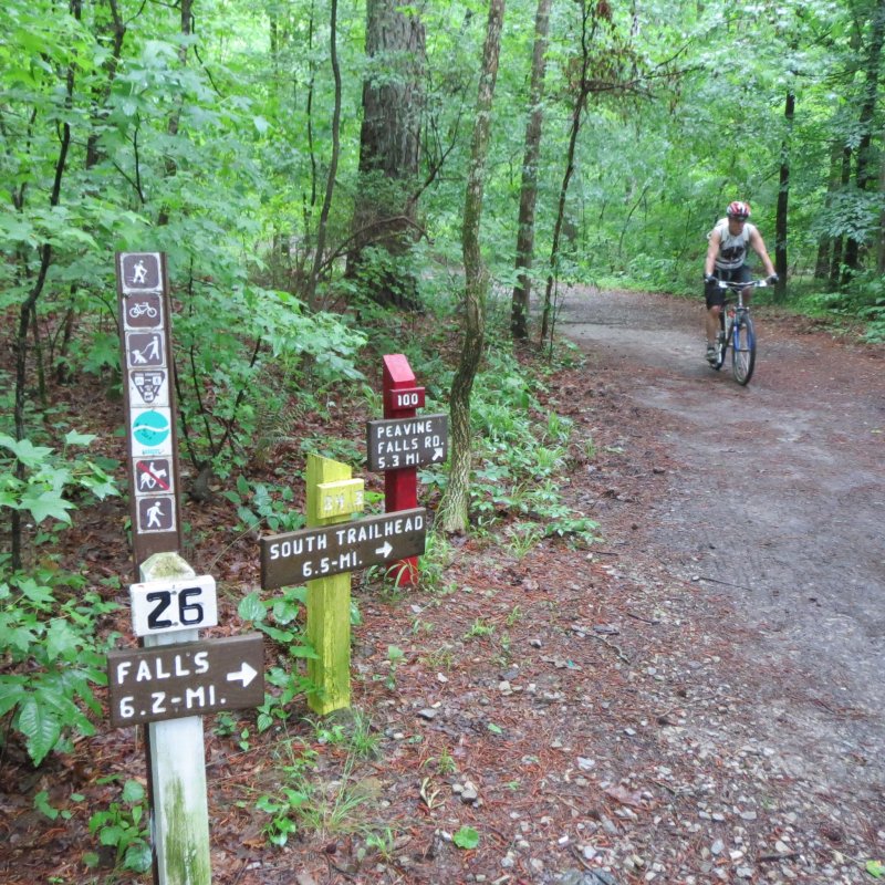 Mountain biking in Alabama's Oak Mountain State Park.