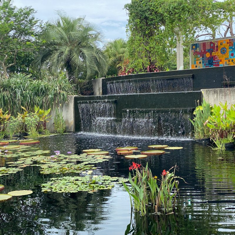 Naples Botanical Garden in Naples, Florida.