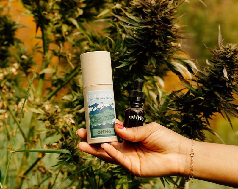 oHHo CBD Oil held in front of hemp plant