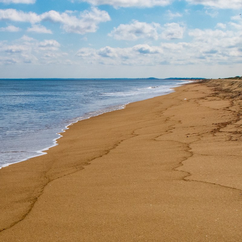 One of the many beautiful beaches on Plum Island.