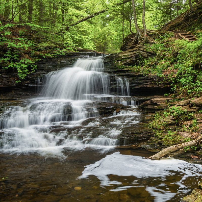 Onondaga Falls in Pennsylvania's Ricketts Glen State Park.