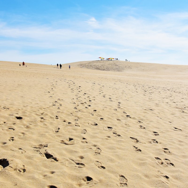 Paragliders at Jockey's Ridge in North Carolina.