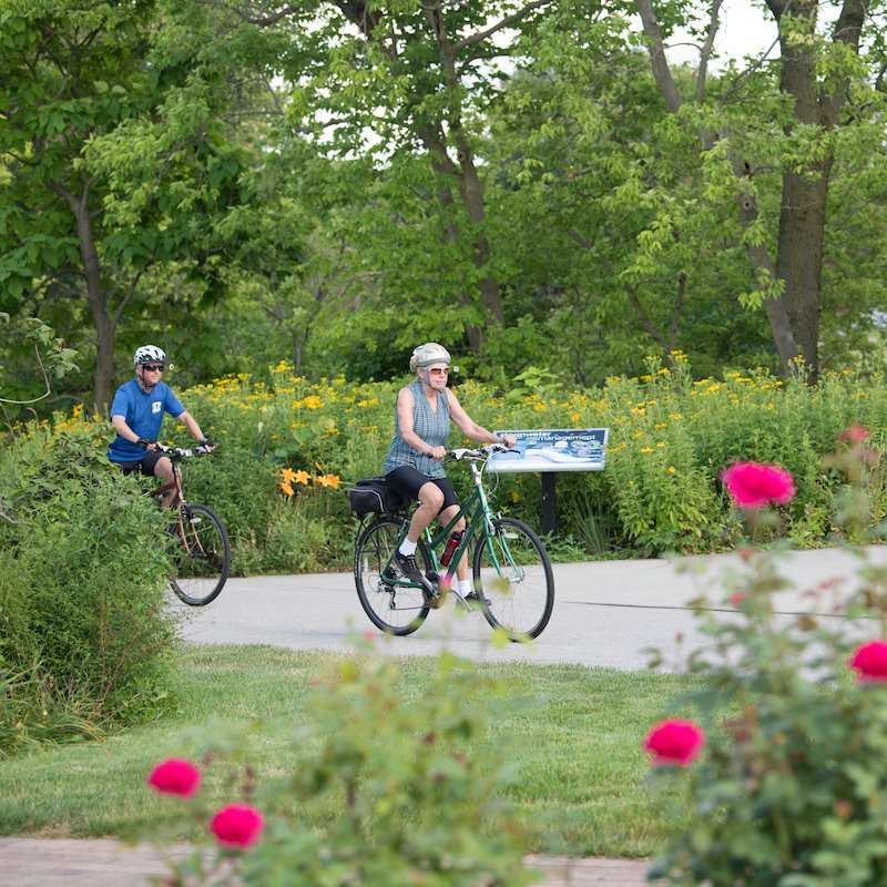 People riding bicycles on a Rails-To-Trails route.