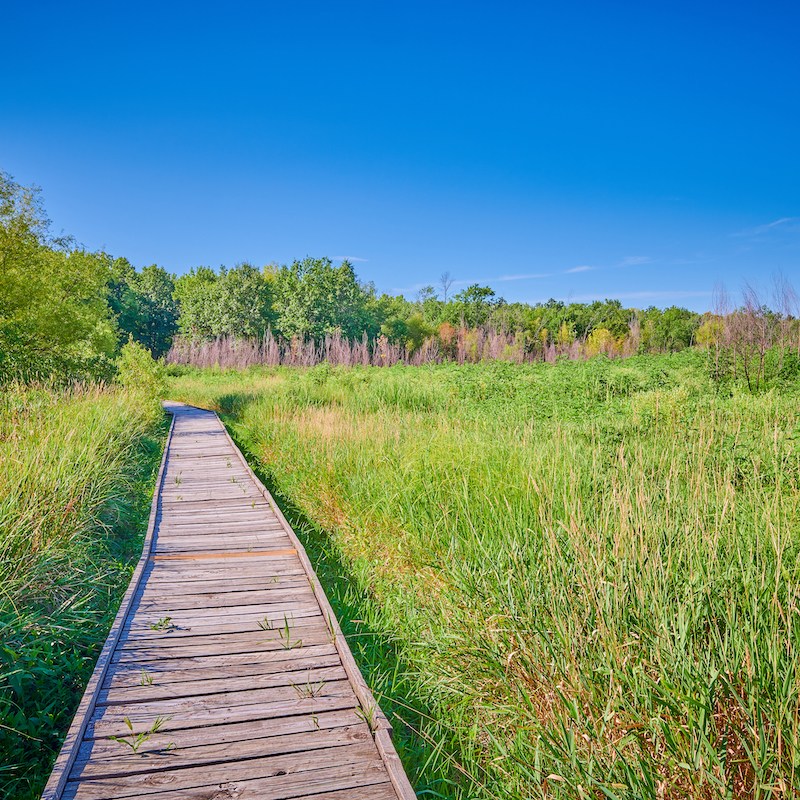 Pershing State Park in Meadville, Missouri.