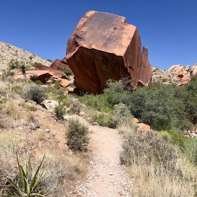 Petroglyph Rock on the Calico Hills Trail in Red Rock Canyon.