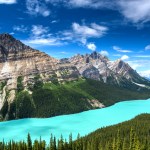 Peyto Lake in Canada's Banff National Park.