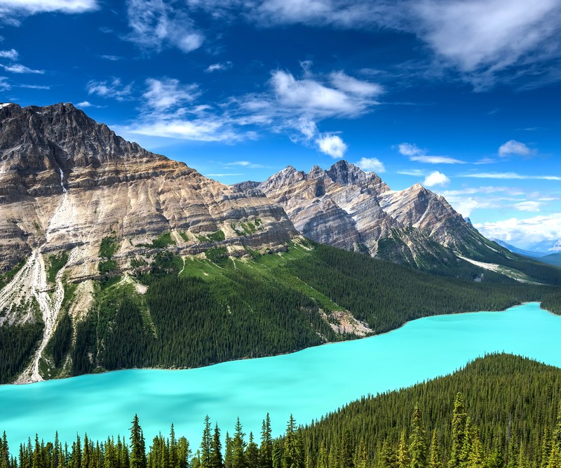 Peyto Lake in Canada's Banff National Park.