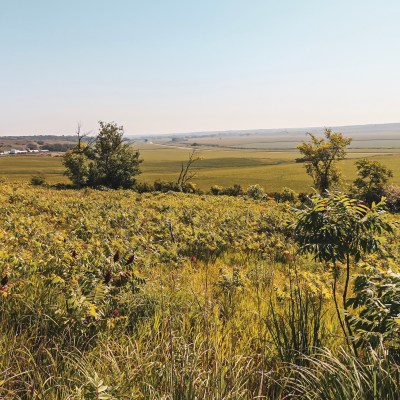 Preparation Canyon State Park int he Loess Hills of Iowa.