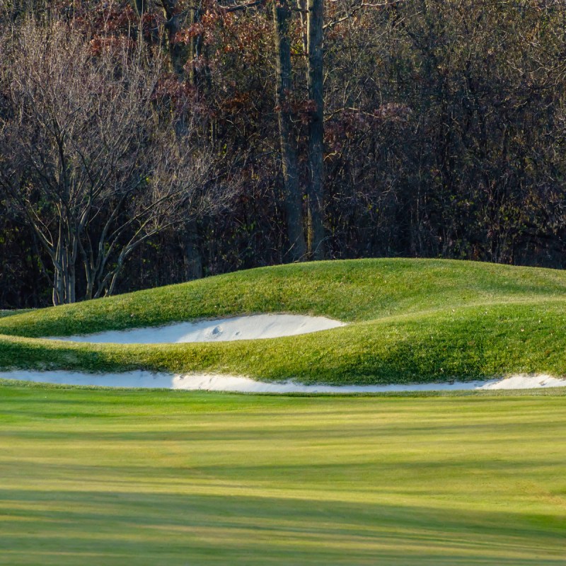 Public golf course in late autumn.