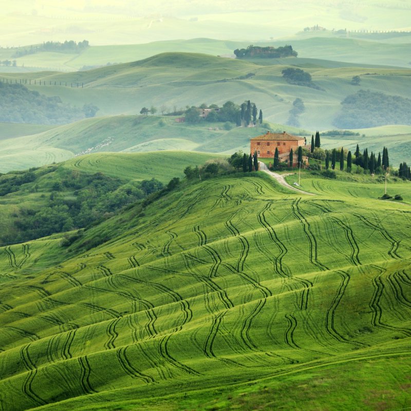 Road near Siena in Tuscany, Italy.