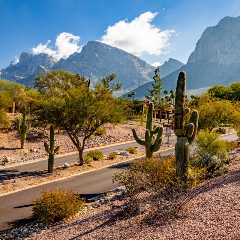 Sonoran Desert views in Oro Valley, Arizona.