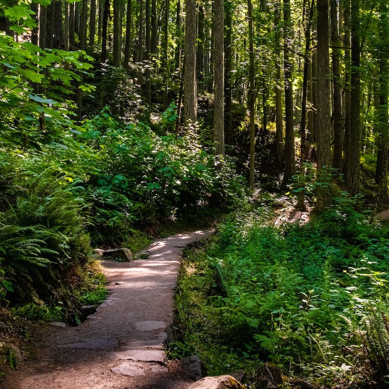 Spencer Butte hiking trail.