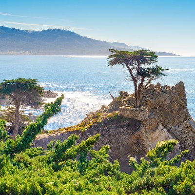 Stunning coastal views in Monterey, California.