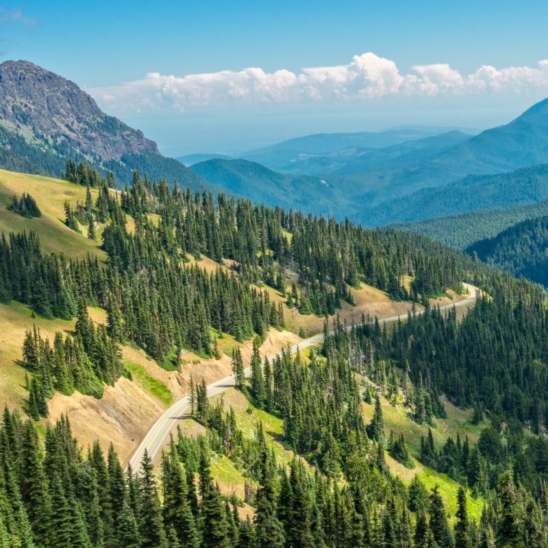 Stunning landscape of Hurricane Ridge in Olympic National Park.