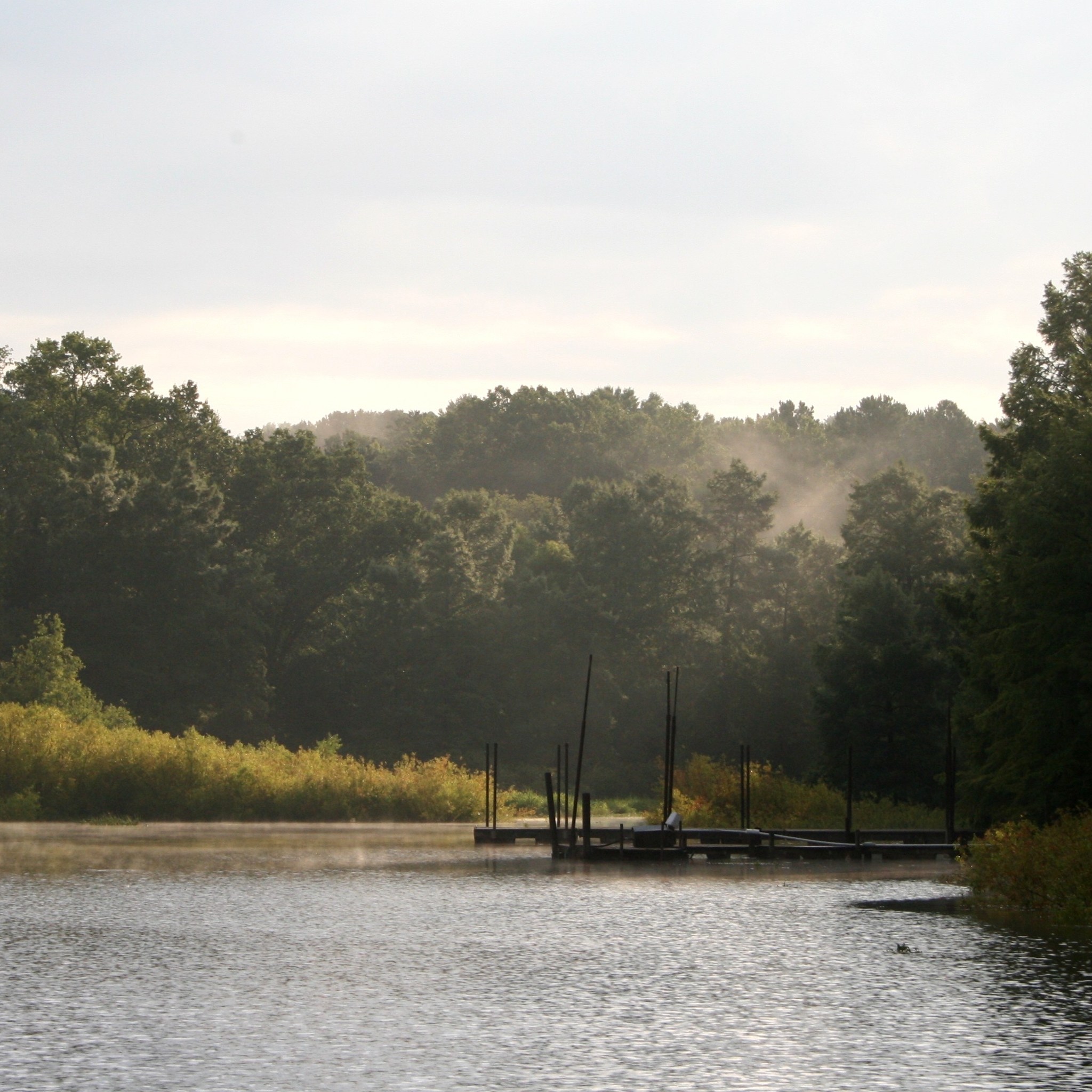 11 Best Campgrounds In The Piney Woods Of East Texas | TravelAwaits