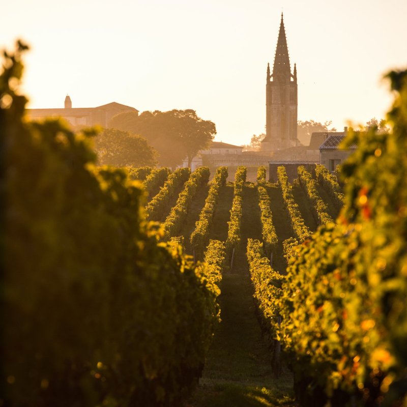 Sunrise, Saint-Emilion, France.