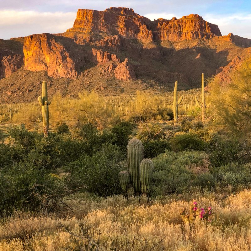 Superstition Mountain views from a trail in Surprise, Arizona.