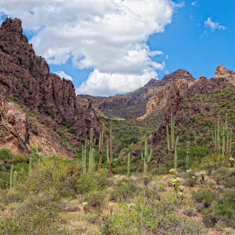 Superstition Mountain views near Apache Junction, Arizona.