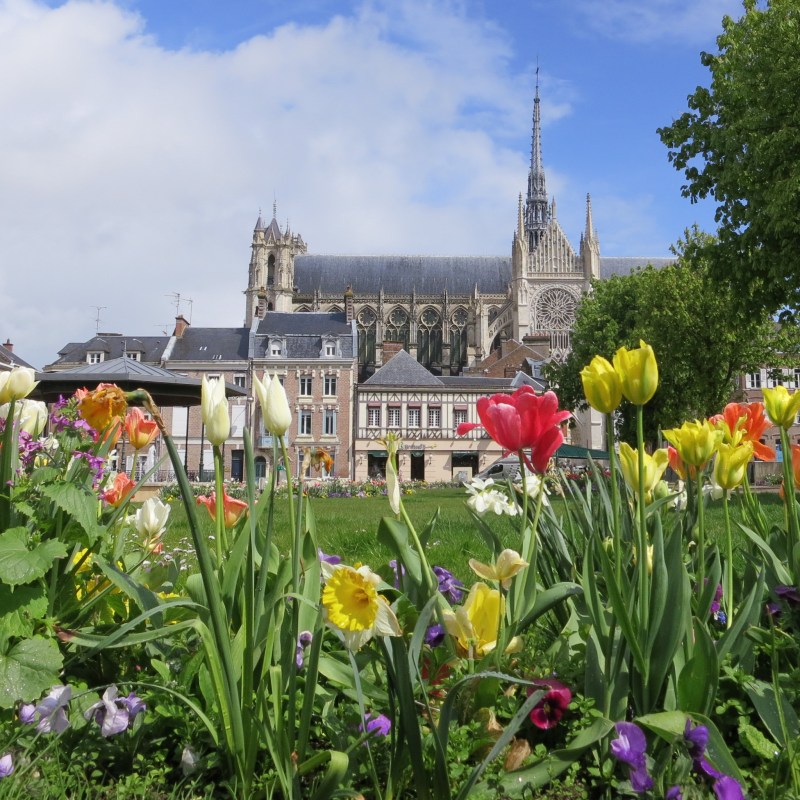 The Amiens Cathedral in France.