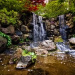 The Anderson Japanese Gardens in Rockford, Illinois.
