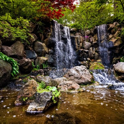 The Anderson Japanese Gardens in Rockford, Illinois.