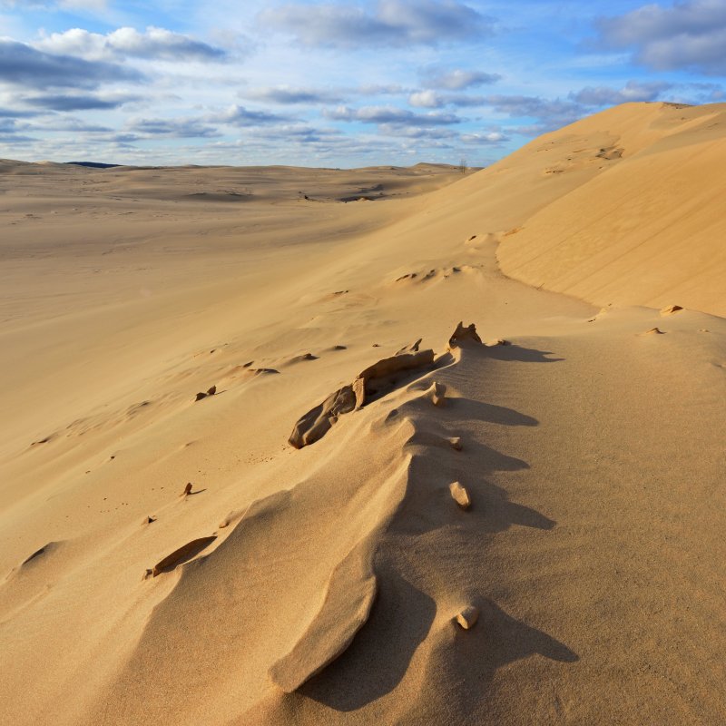 The beautiful Silver Lake Sand Dunes in Michigan.