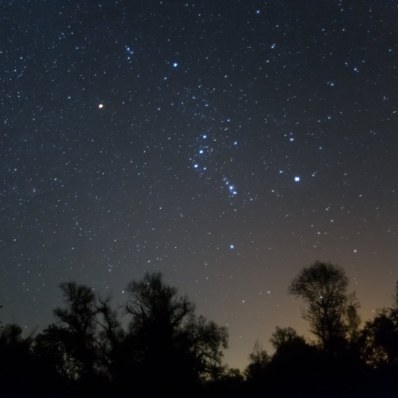 The constellation Orion in the night sky.