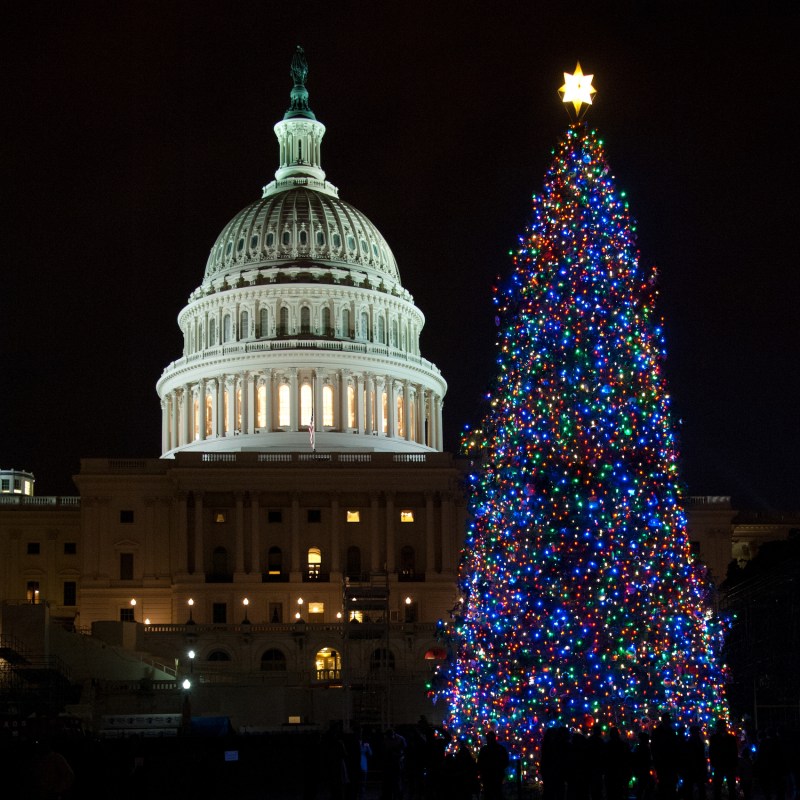 The National Christmas Tree in Washington, D.C.