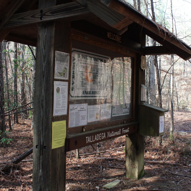 The Nubbin Creek Trailhead in the Talladega National Forest.