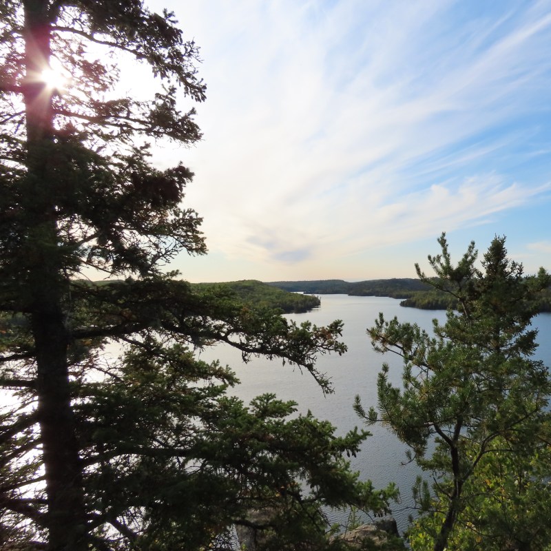 The shoreline of Loon Lake along the Gunflint Trail.