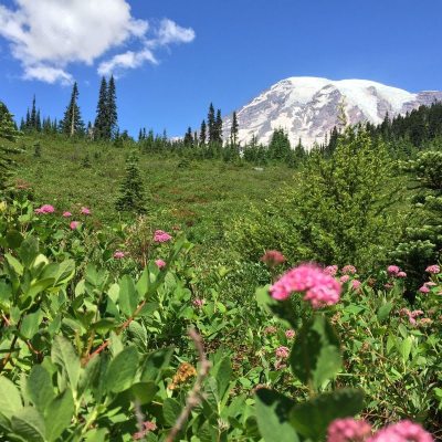 The Skyline Trail at Mount Rainier National Park.